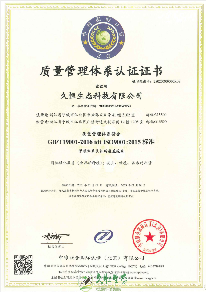 黄陂质量管理体系ISO9001证书
